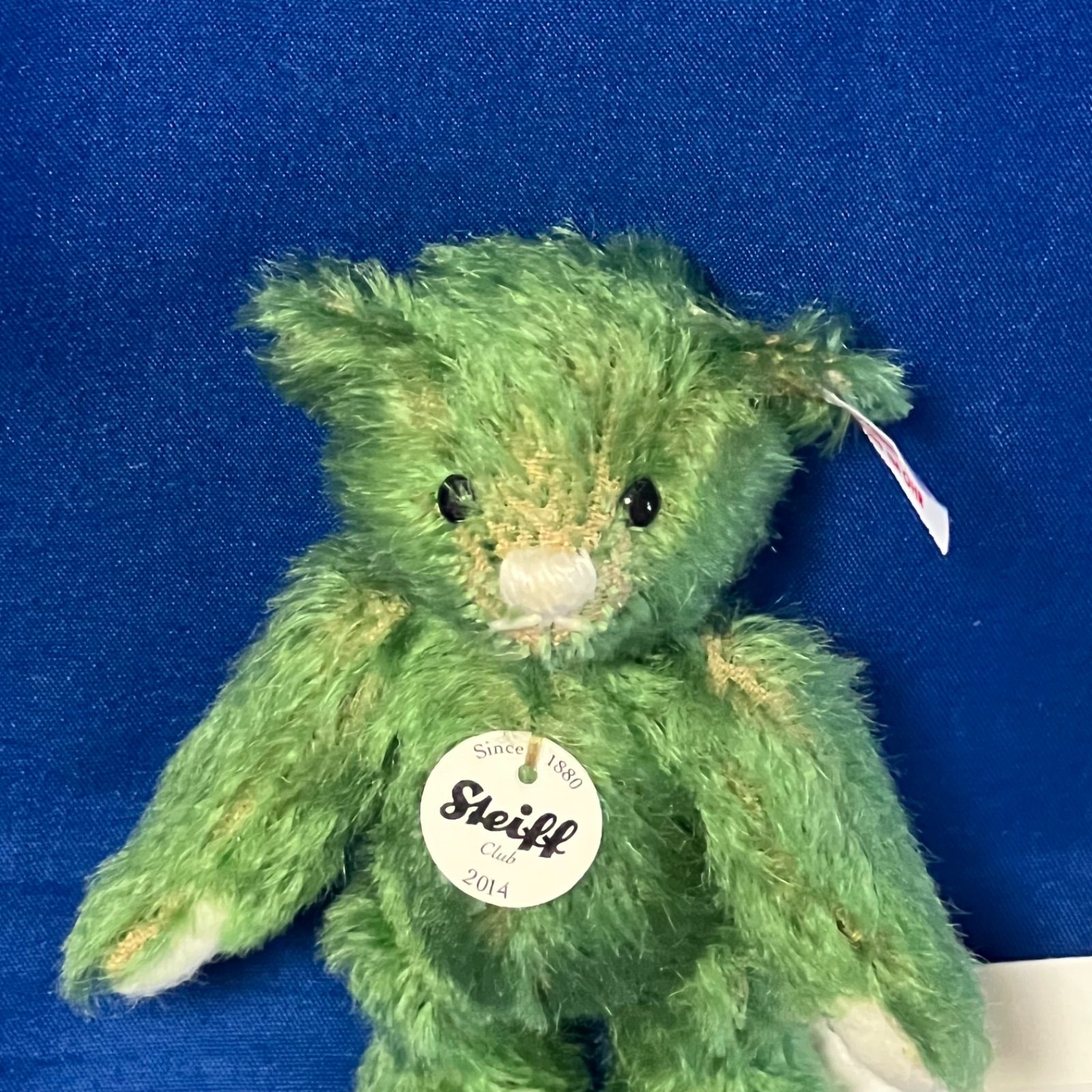 シュタイフ Steiff 2014年クラブ限定 テディベア 限定モデル 現状品】Steiff シュタイフ 2014 シュタイフクラブ 限定ベア グリーン