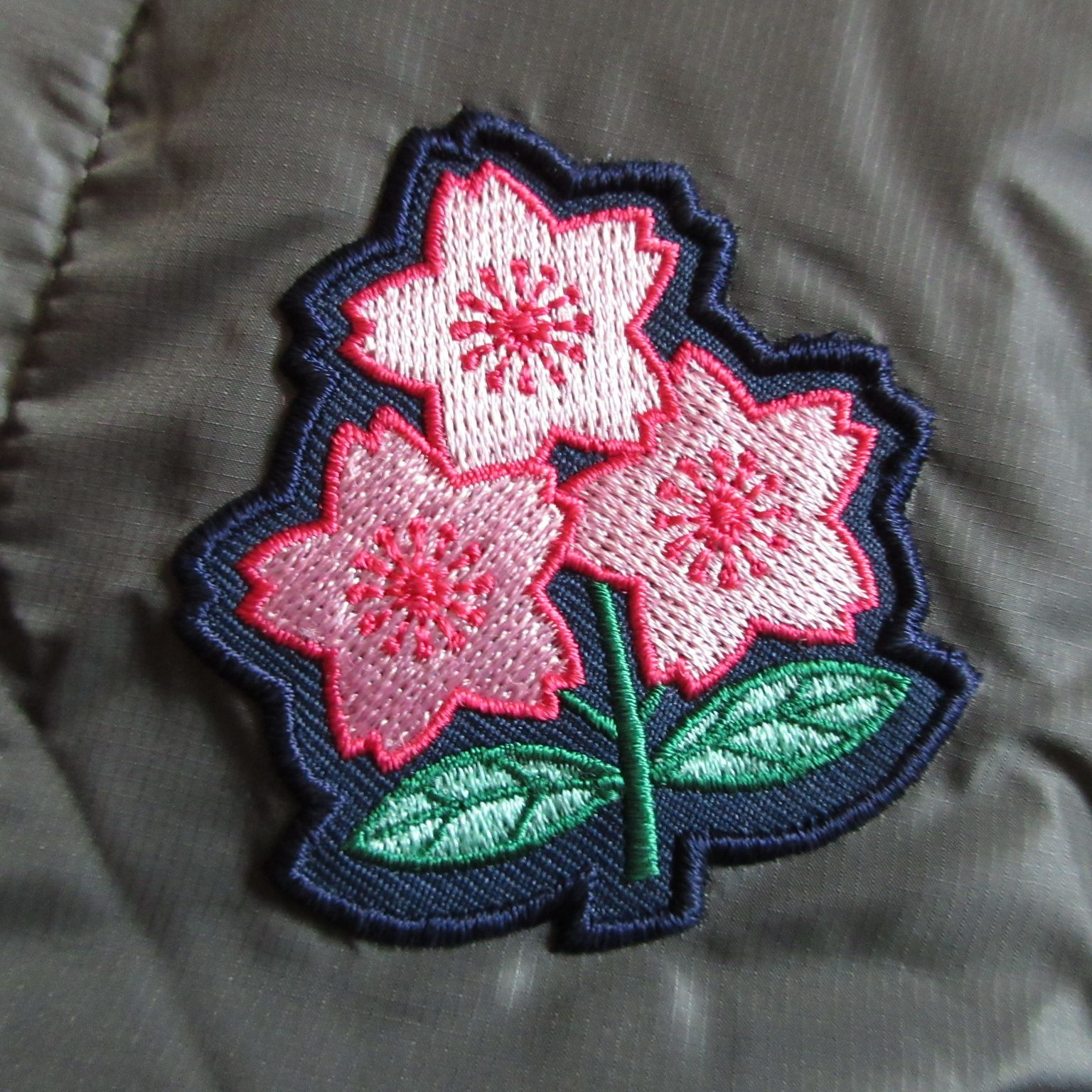 メンズ M / 4L / 5L 】未使用 canterbury カンタベリー ラグビー日本