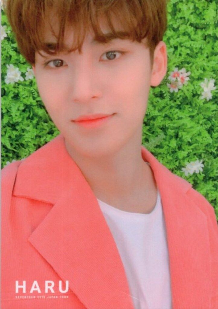 SEVENTEEN 2019 HARU MINGYU トレーディングカード 0043 - メルカリ