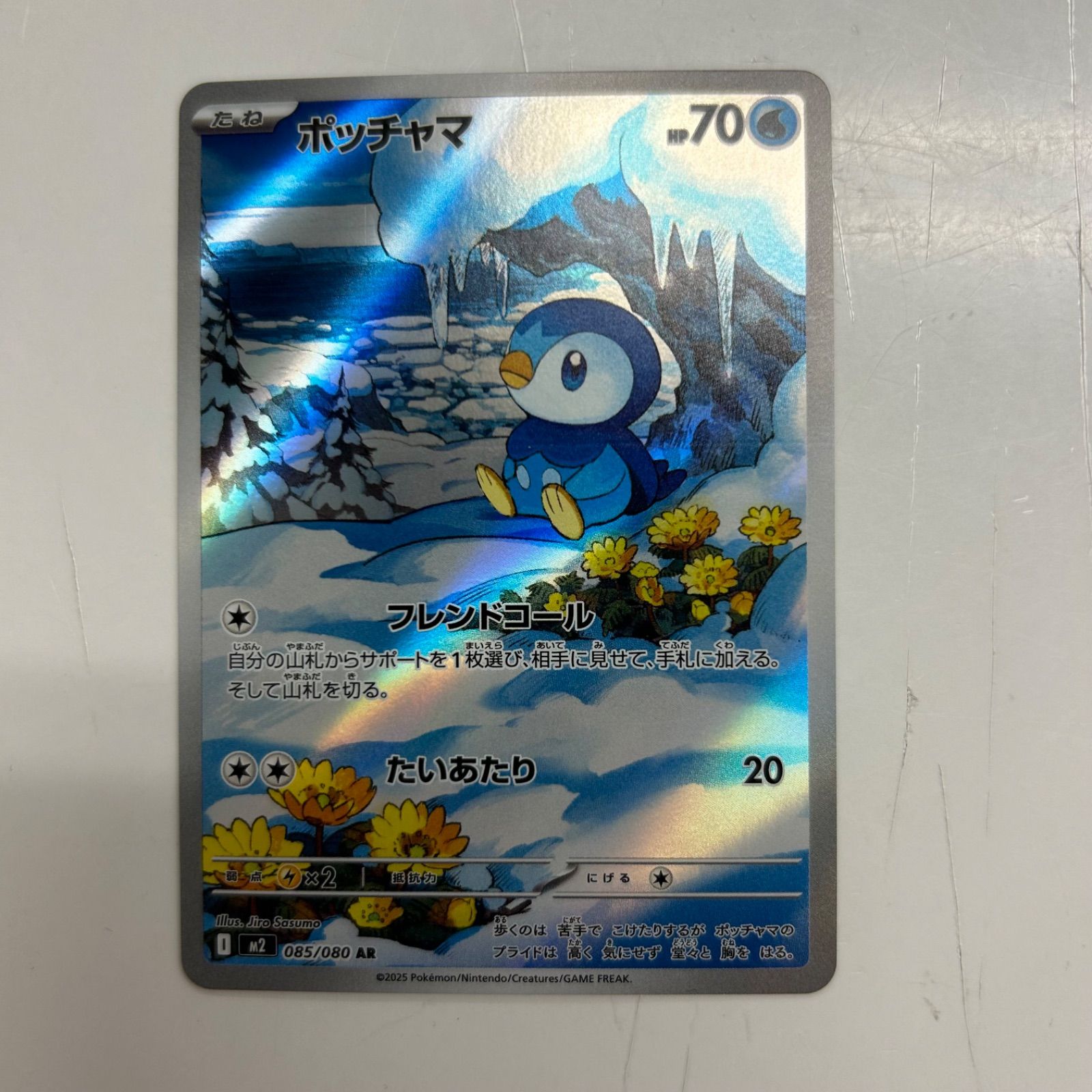 盛岡】ポッチャマ AR M2 085/080 - メルカリ