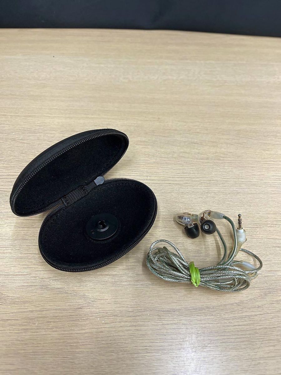 貝殻 約8.2cm 貝殻 約8.2cm