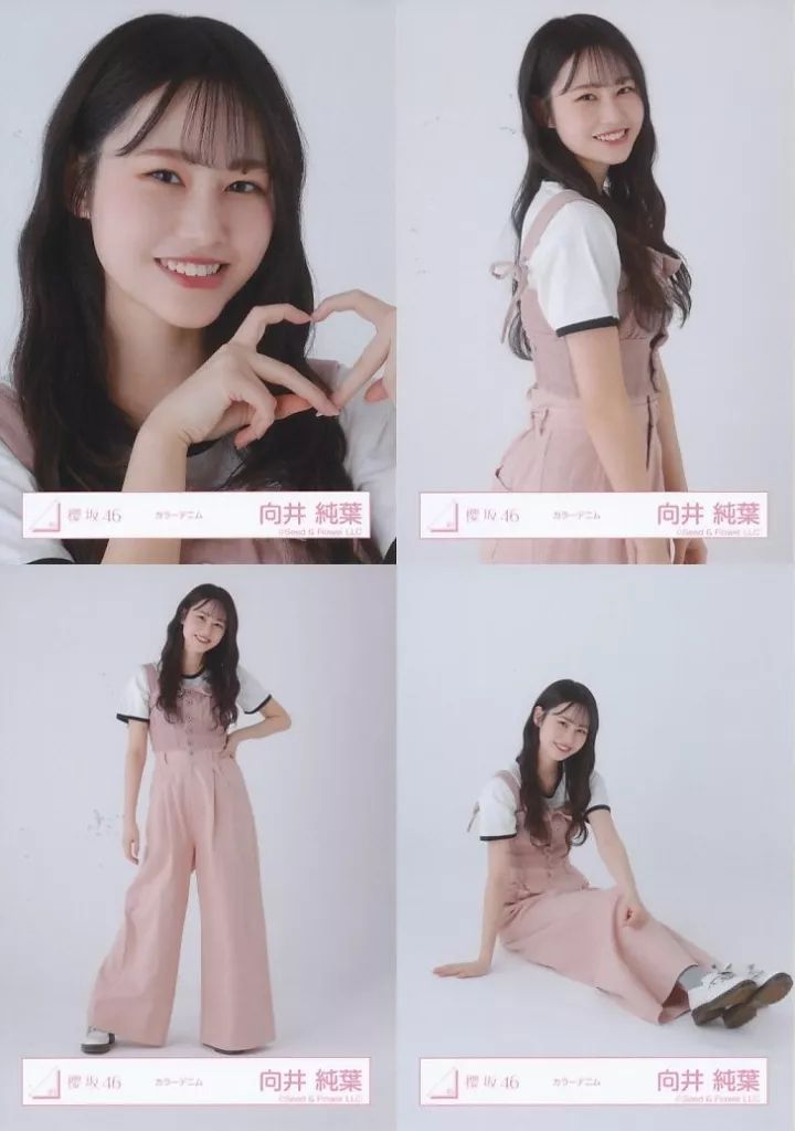 向井純葉　生写真フルコンプセット　最初期から2025/9まで 向井純葉 生写真フルコンプセット 最初期から2025/9まで