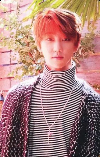 中古】コレクションカード(男性) SEVENTEEN/THE8(ディエイト)/2ND