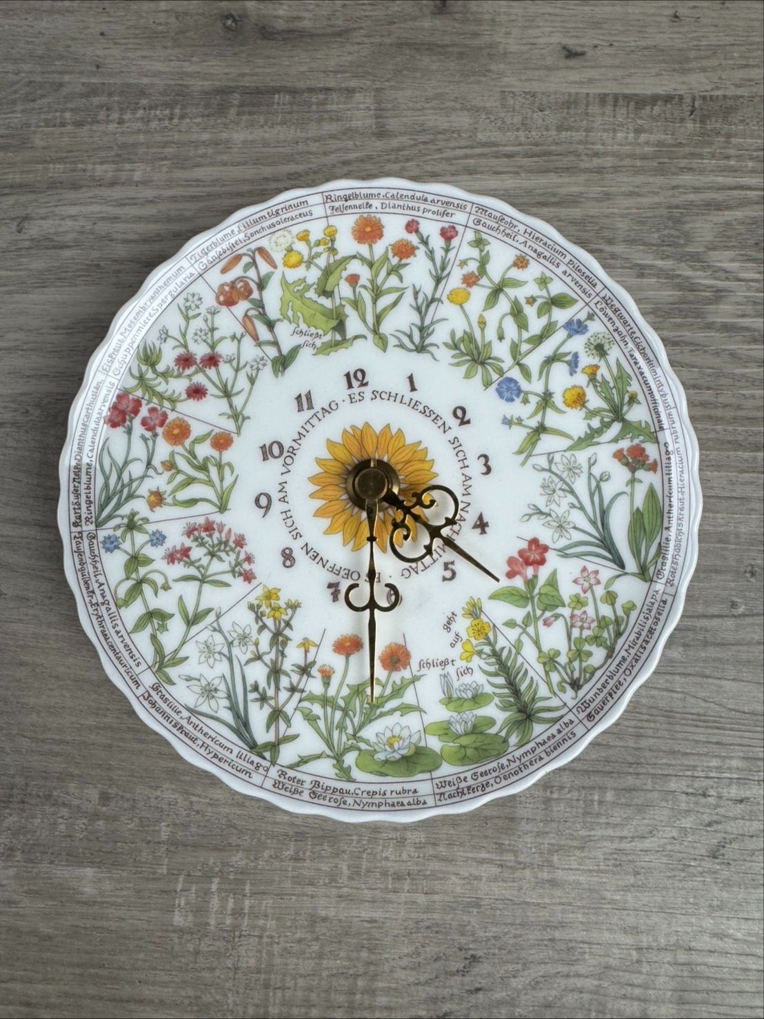 【限定品】ノリタケ　フォン・リンネ・コレクション　掛け時計　動作確認済み Noritake ノリタケ 掛時計 フォン・リンネ・コレクション 花時計 動作