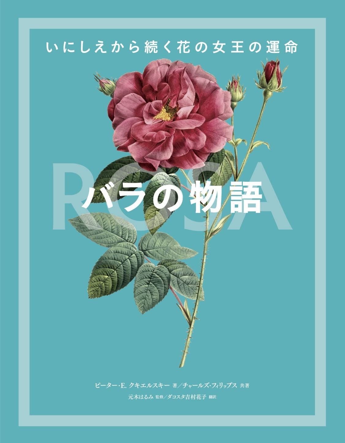 つもり 偽物撲滅 断捨離中 ワンオーナー様 リクエスト 6点 まとめ商品 断