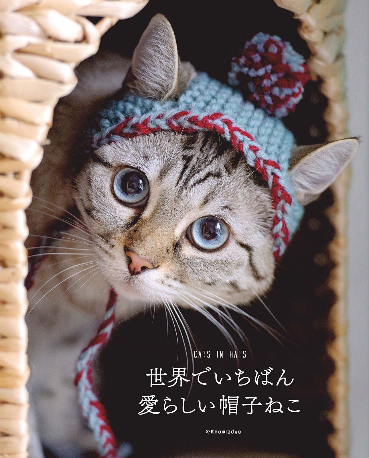 世界でいちばん愛らしい帽子ねこ-CATS IN HATS