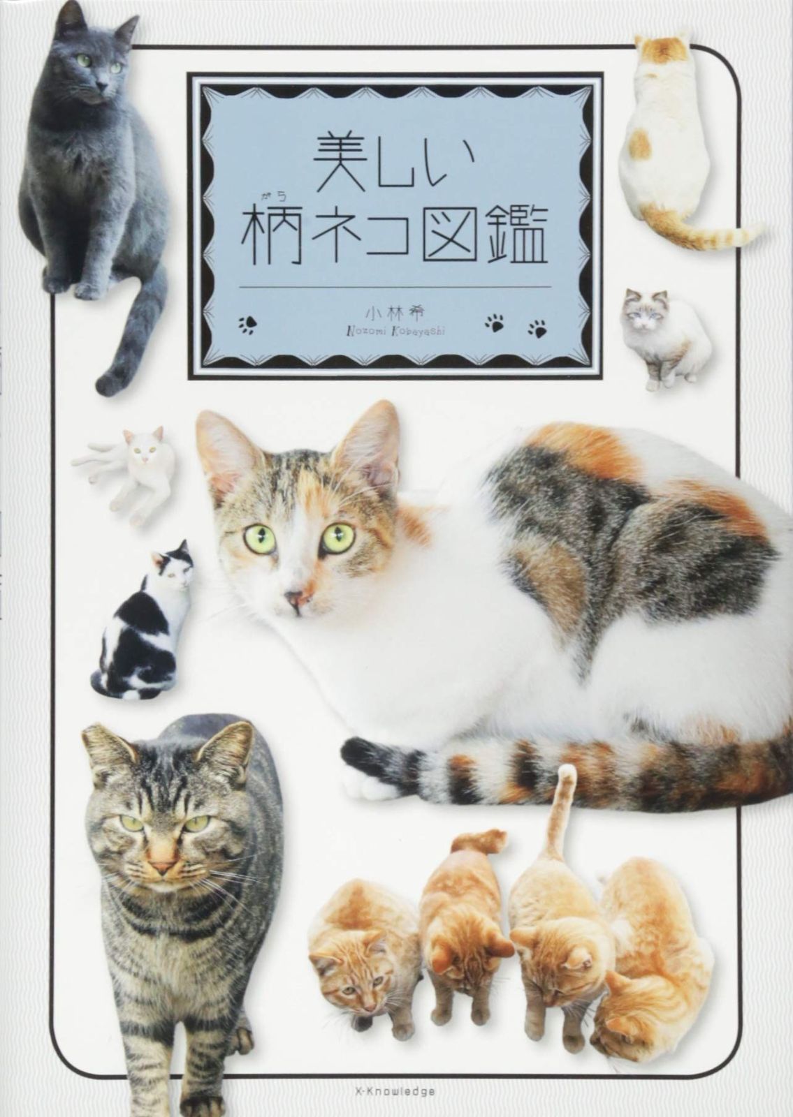 ジャンニヴェルサーチェ 太陽神 ハンドバッグ 自立 総柄 メデューサ レザー