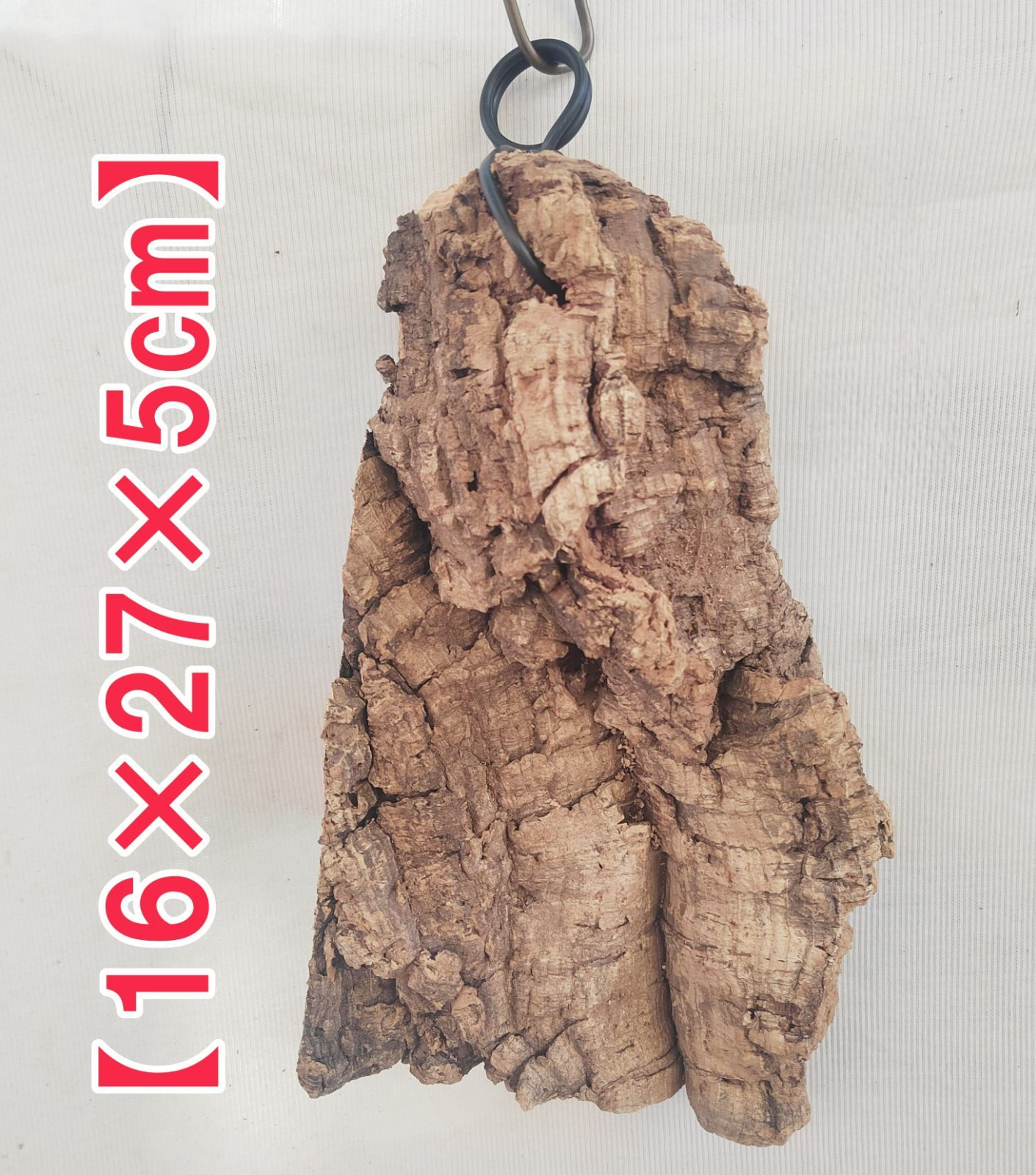 B354 ポルトガル産 厚め コルク樹皮 コルク板 バージンコルク 送料無料