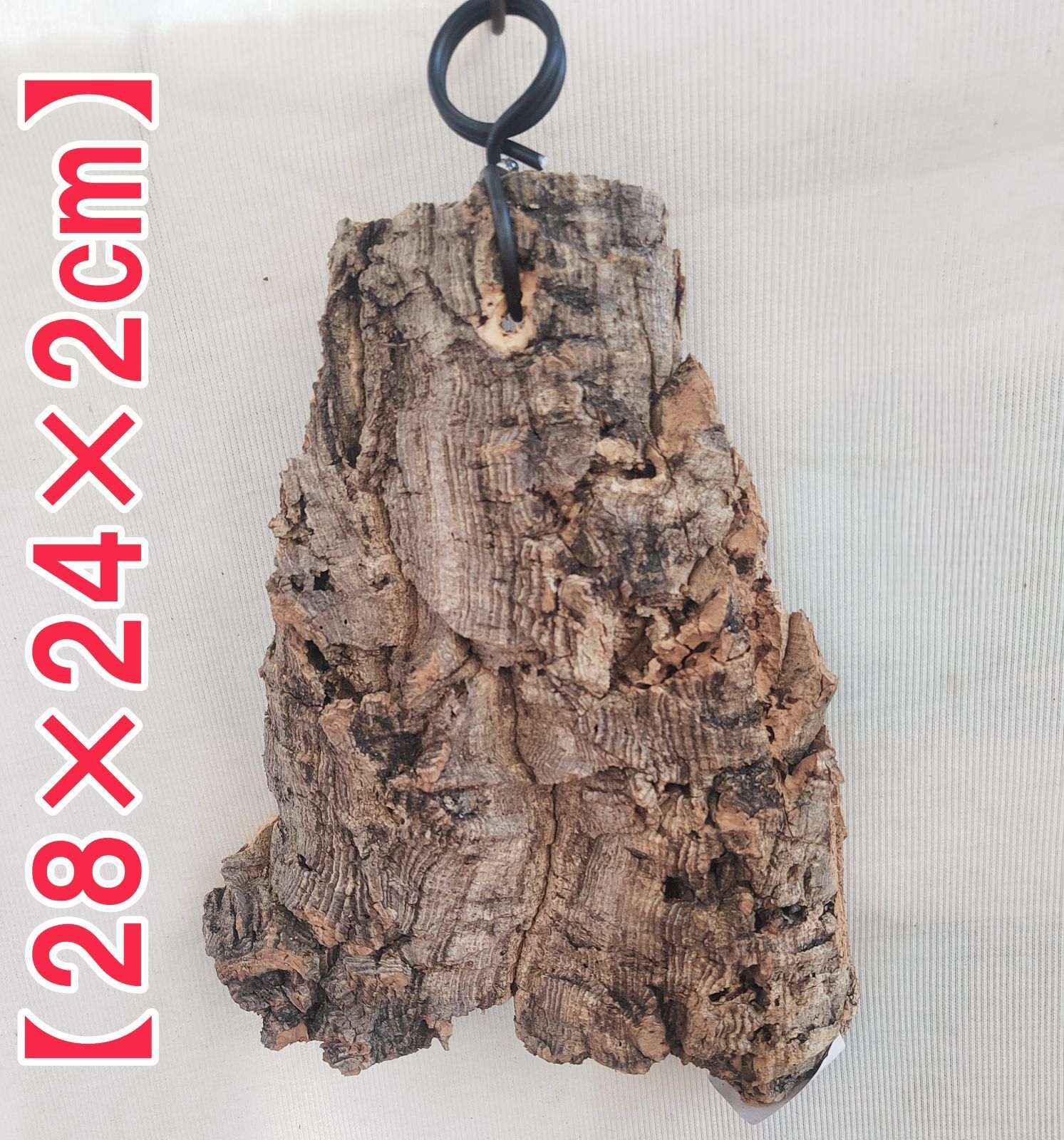 B358 ポルトガル産 厚め コルク樹皮 コルク板 バージンコルク 送料無料