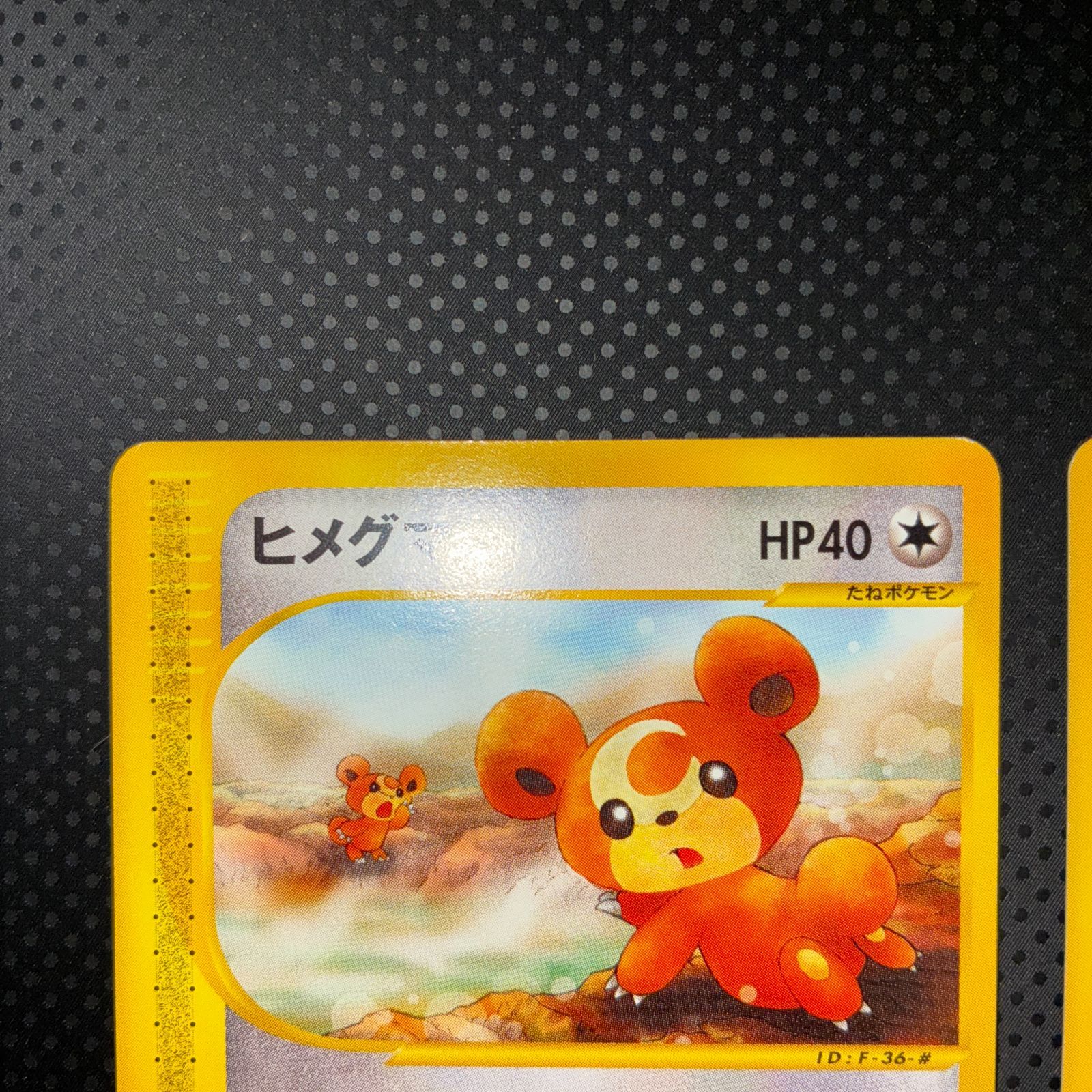 状態S ヒメグマ リングマ カードe 1ed 温泉 進化セット - メルカリ