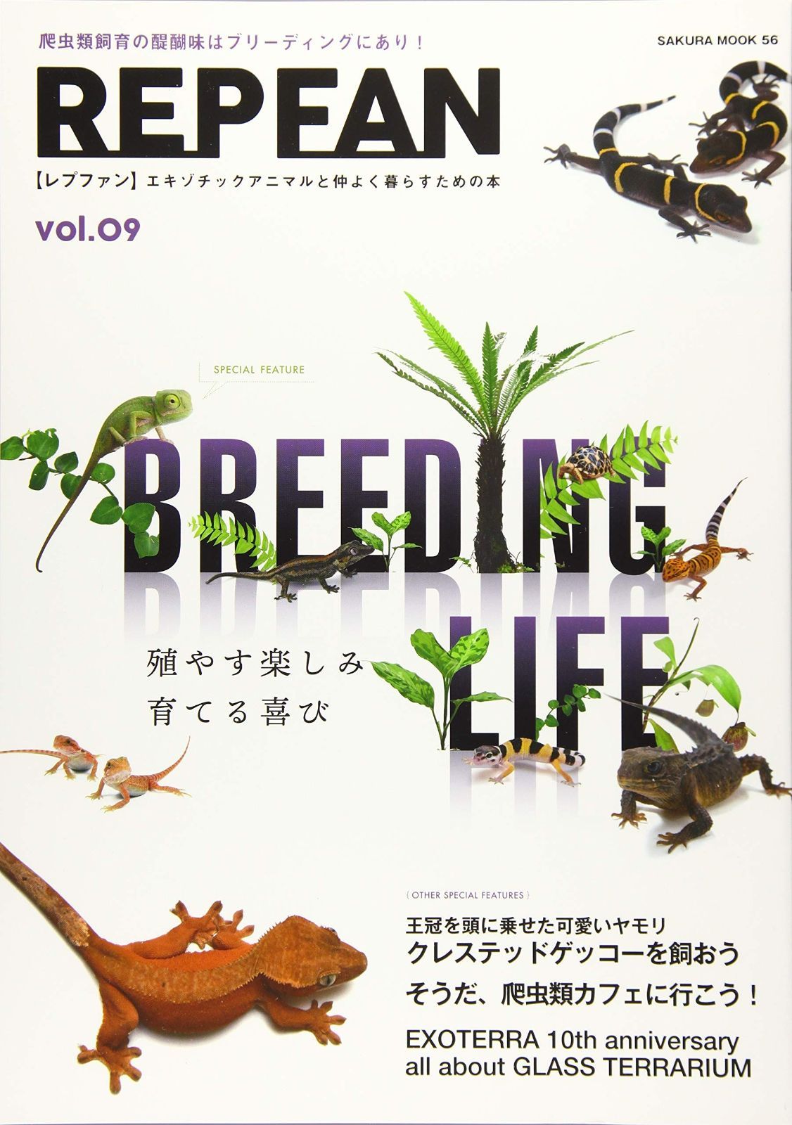 REP FAN レプファン REP FAN rep fan 19冊セット REP FAN レプファン