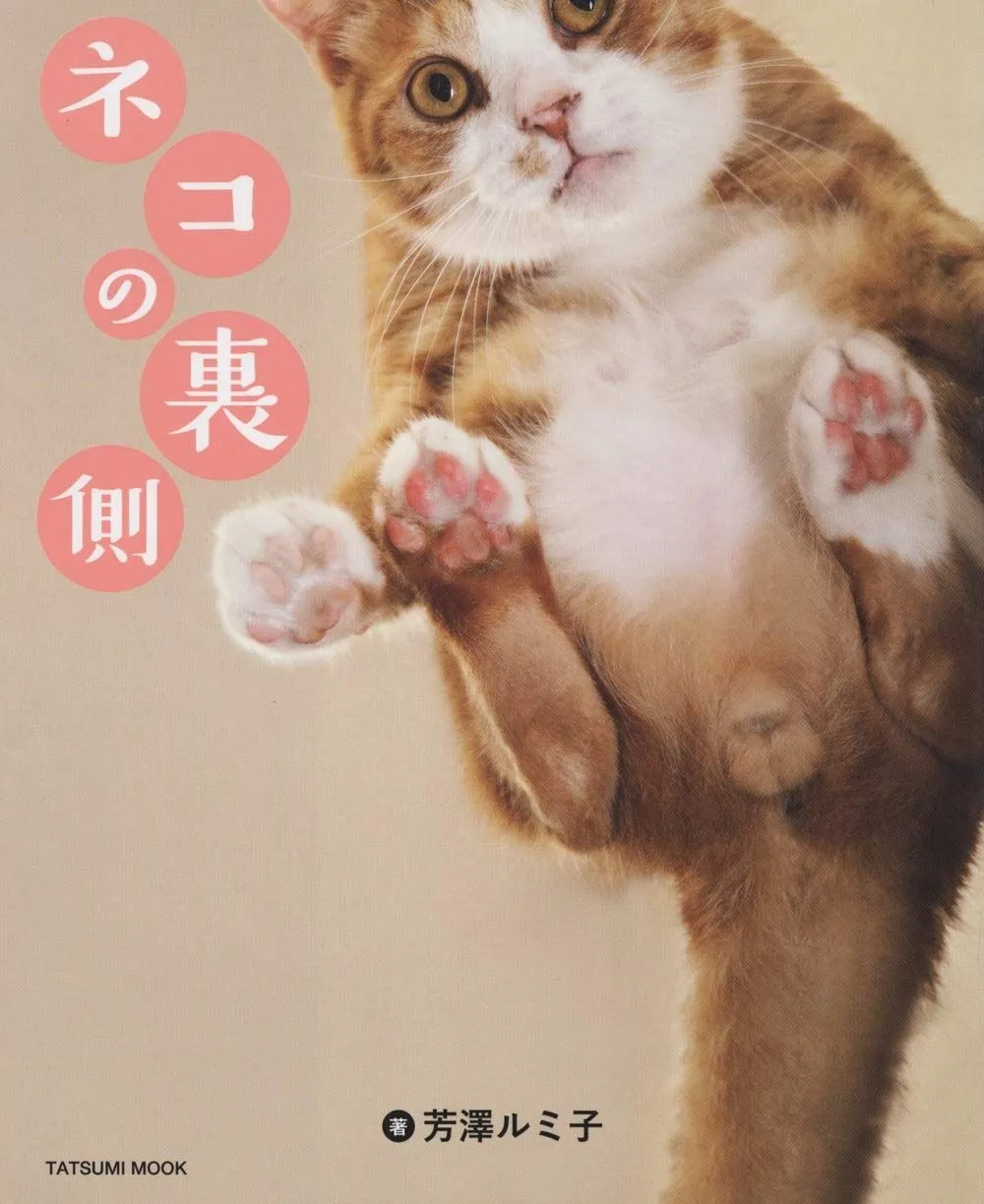 本 ネコの裏側 (タツミムック)