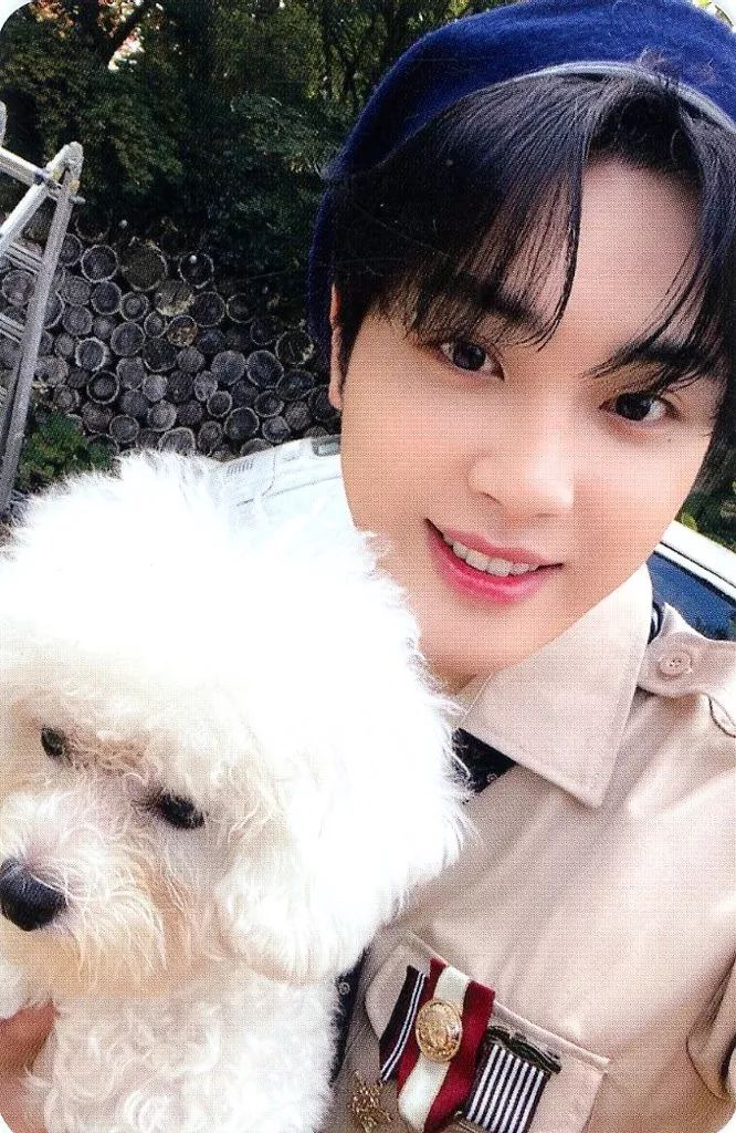 中古】コレクションカード(男性) THE BOYZ/JUHAKNYEON(チュハンニョン