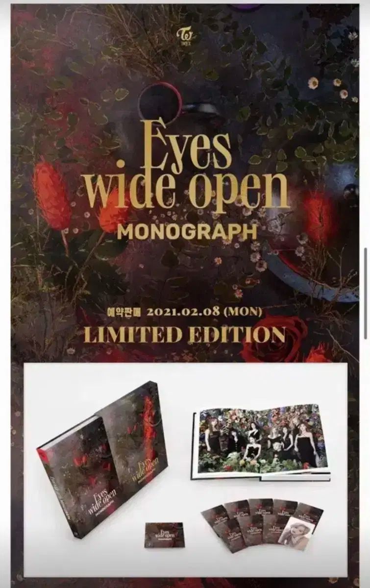TWICE モノグラフ Eyes wide open 未開封 monograph TWICE モノグラフ