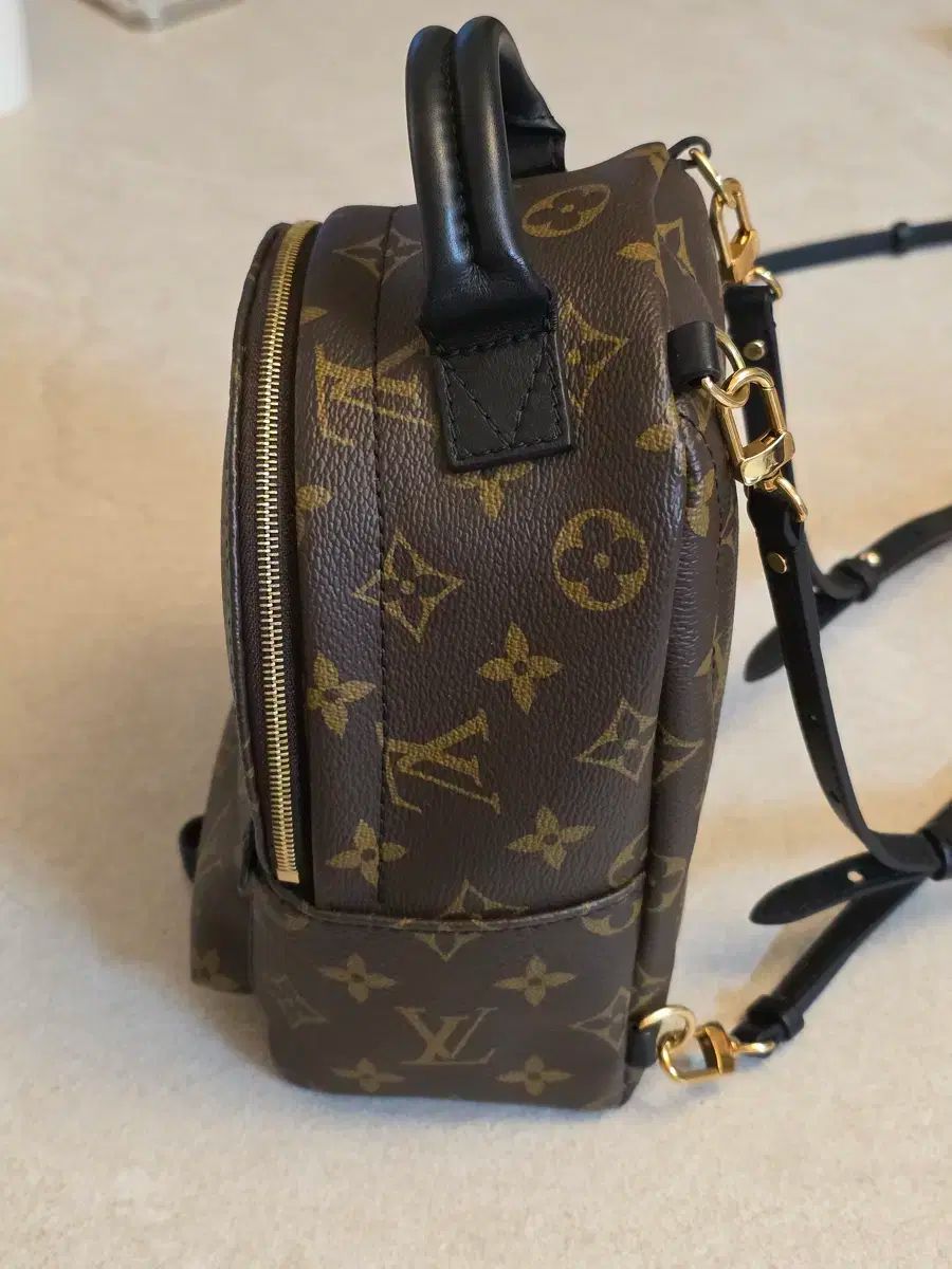 LOUIS VUITTON パームスプリングス ミニ モノグラム LOUIS VUITTON パームスプリングス バックパック MINI