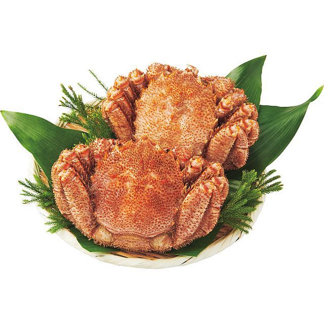 【お歳暮ギフト】北海道産 ボイル毛ガニ(2杯) 【申込締切12/19、お届け期間11月末～12/19】【全国配送可】