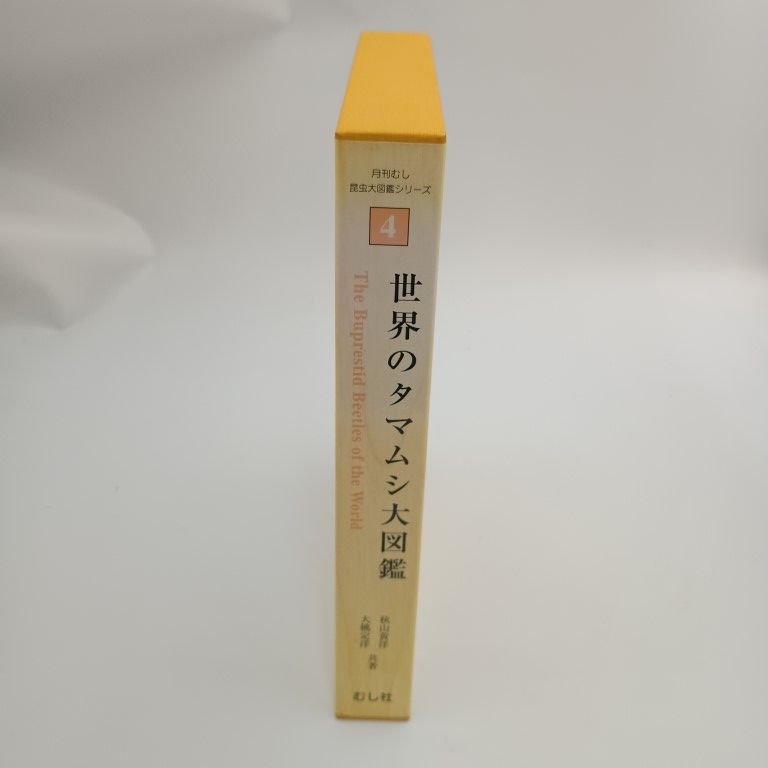 世界のタマムシ大図鑑 秋山黄洋・大桃定洋（むし社） 世界のタマムシ大図鑑(大桃定洋, 秋山黄洋 著) / 古本、中古本、古書籍