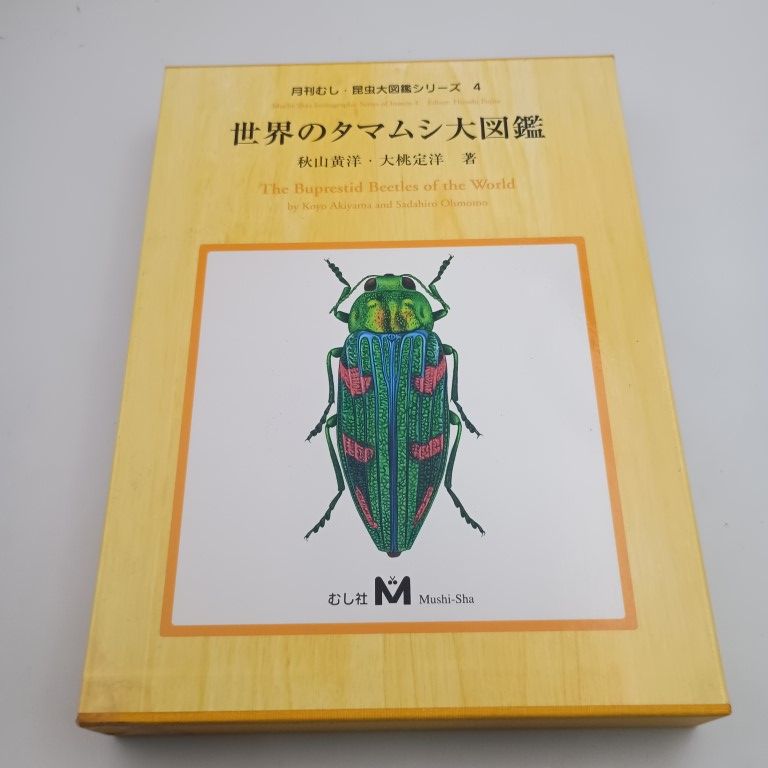 世界のタマムシ大図鑑 秋山黄洋・大桃定洋（むし社） 910D11T7i6L.jpg_BO30,255,255,