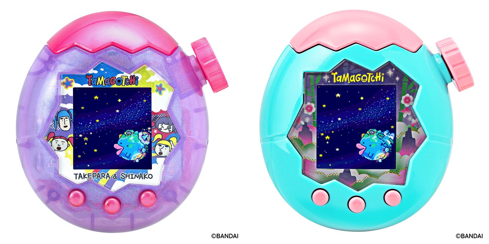 ドイツ箱 大型標本箱 タツミ製作所 2箱セット