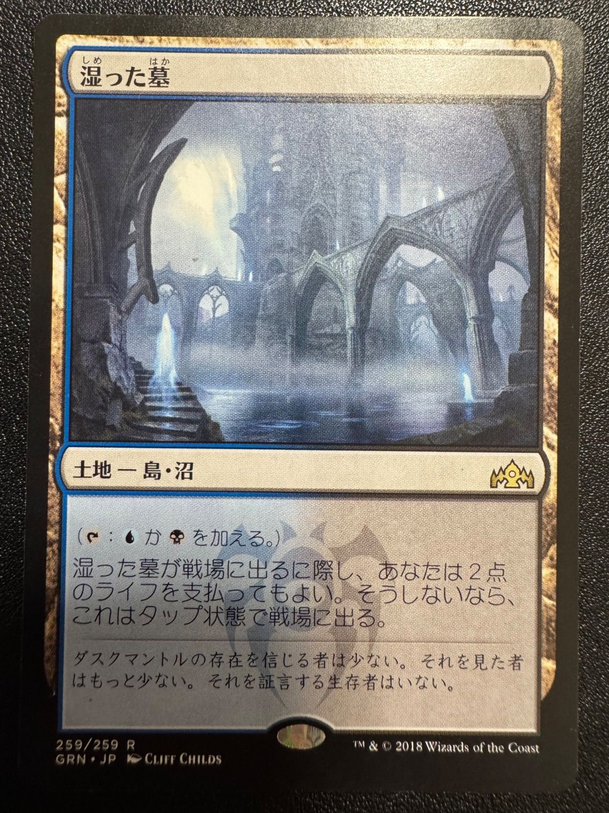 MTG 湿った墓 日本語 GRN - メルカリ