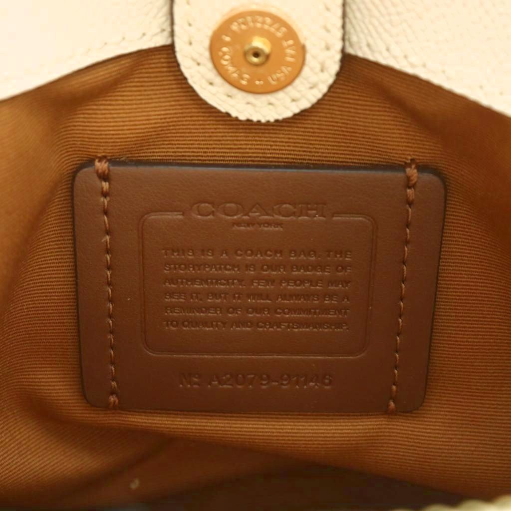 コーチ COACH ミニ リリー キャリーオール ハンドバッグ ショルダー