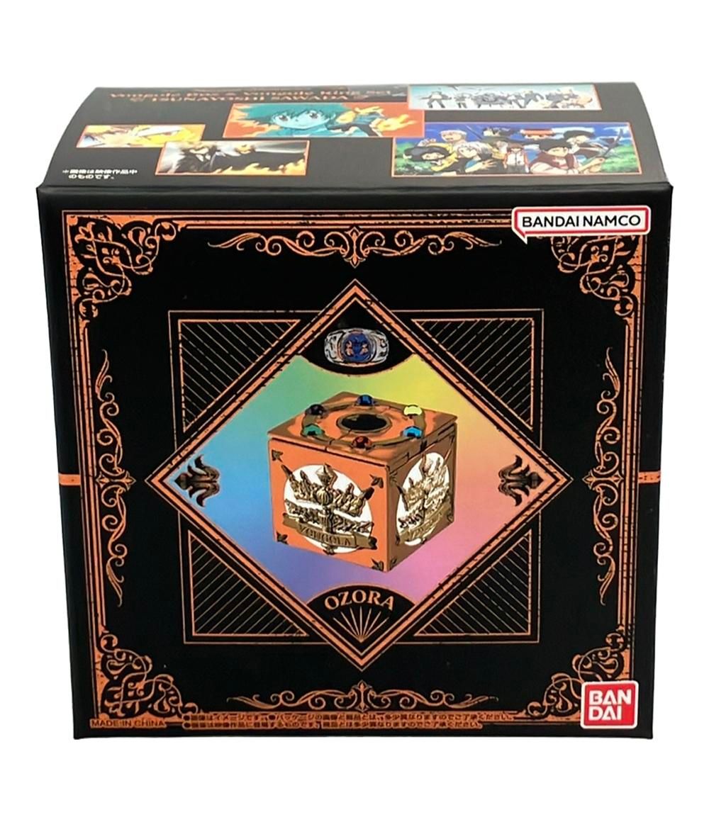 沢田綱吉 CCG B09 サインあり ボンゴレ匣 ツナ 沢田綱吉 CCG B09