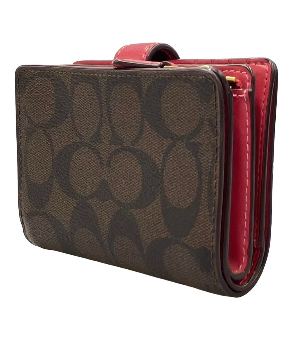 willinckii cv.pedro TatsutaペドロOCビカクシダ② willinckii cv