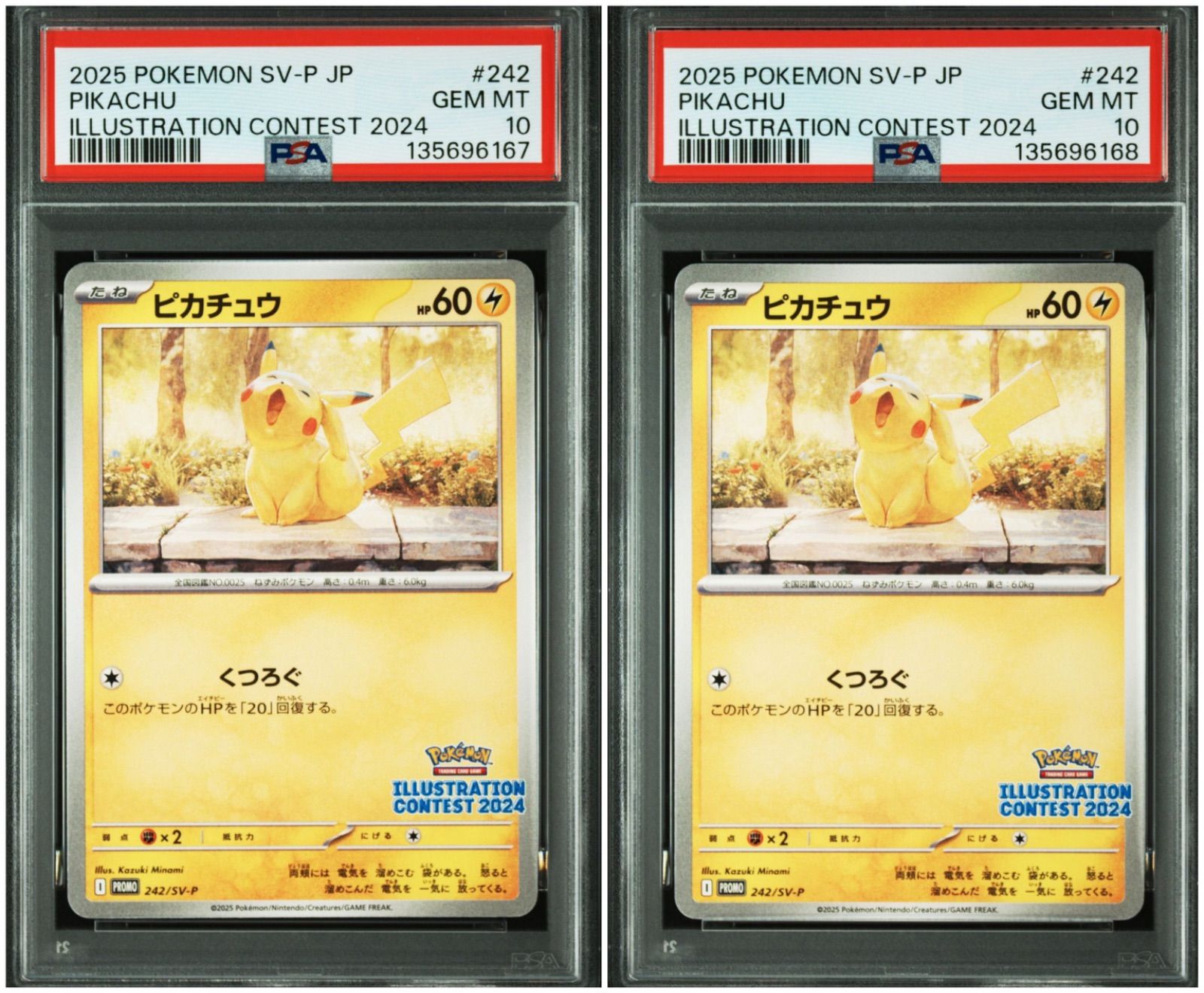 PSA10】 2連番 ピカチュウ プロモ イラストレーションコンテスト 2024