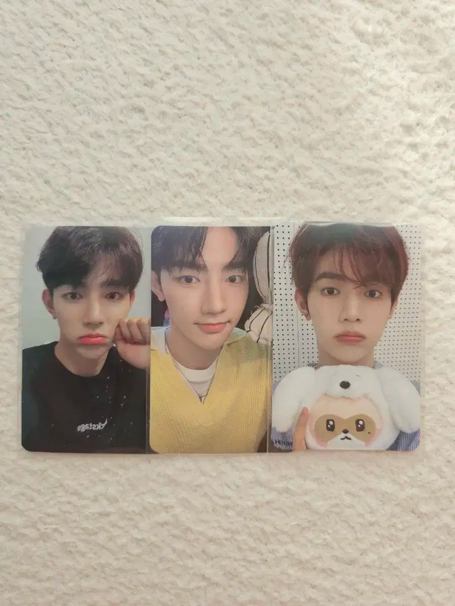 ZEROBASEONE ZB1 ゼベワン ジャンハオ zhang hao トレカ Zerobaseone