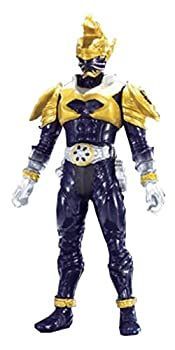 美術品・アンティーク・コレクション 【】仮面ライダーヒビキ RHHEX
