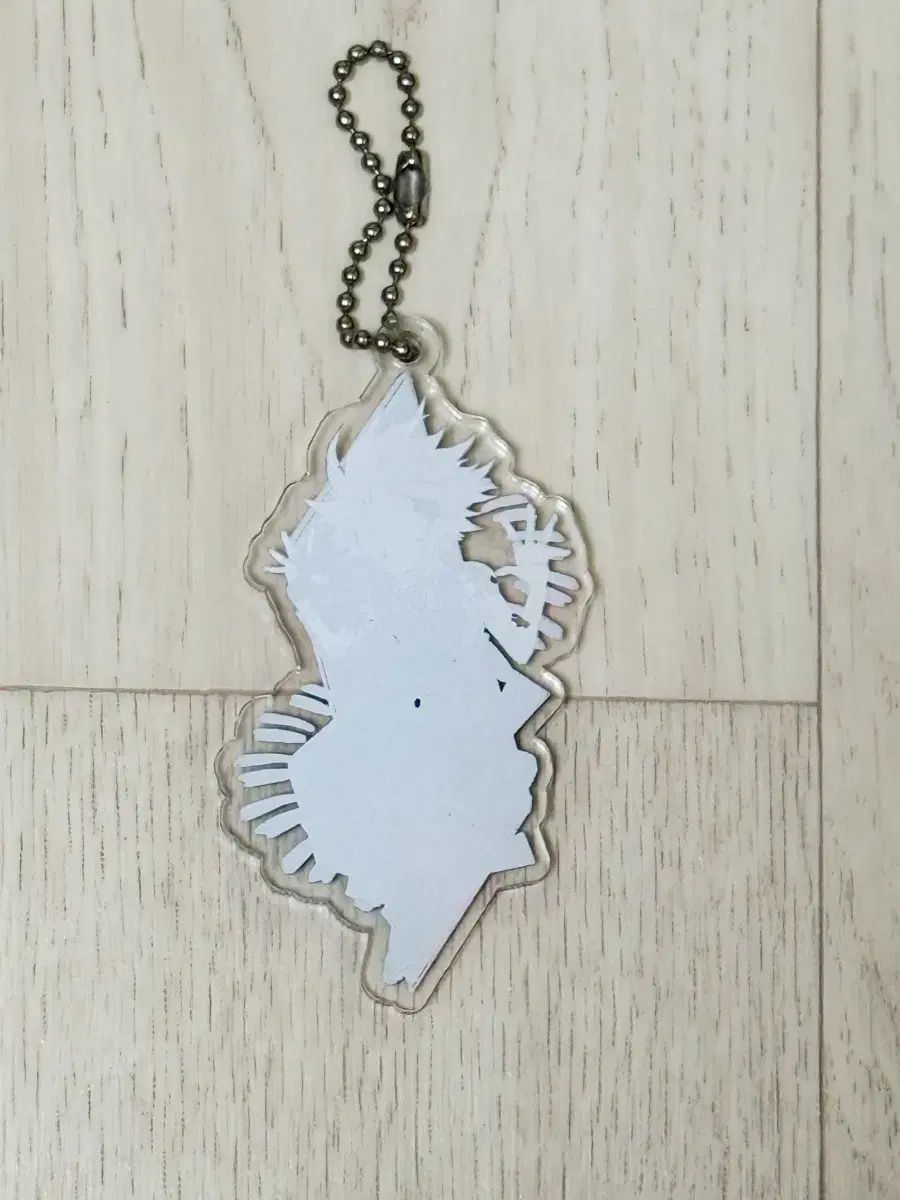 wooma ヒイラギ キライ オートファジー アークス アクリル