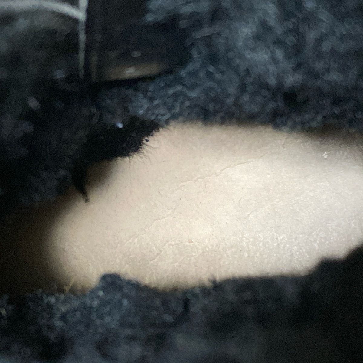 ドクターマーチン ブーツ