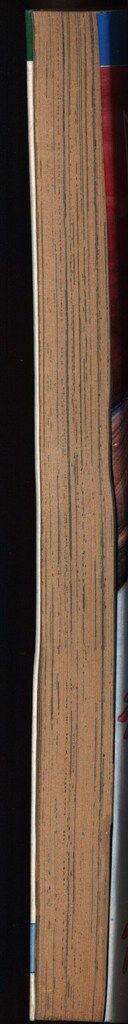 ひばり書房 ひばりヒット(青) 三智伸太郎 呪いの首に白蛇が! 255