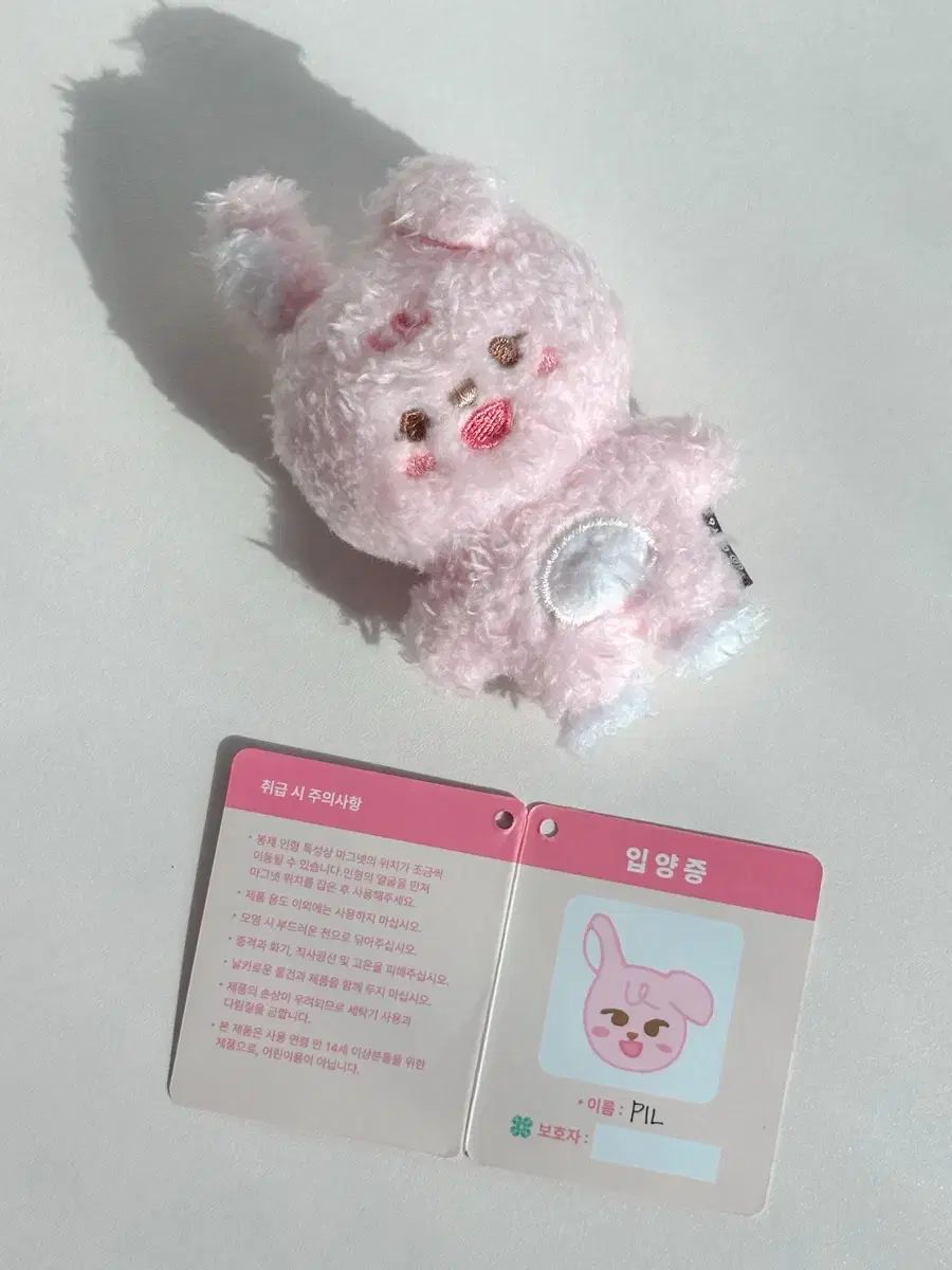 DAY6（デイシックス）ウォンピル(WONPIL) マグネット フィルver - メルカリ