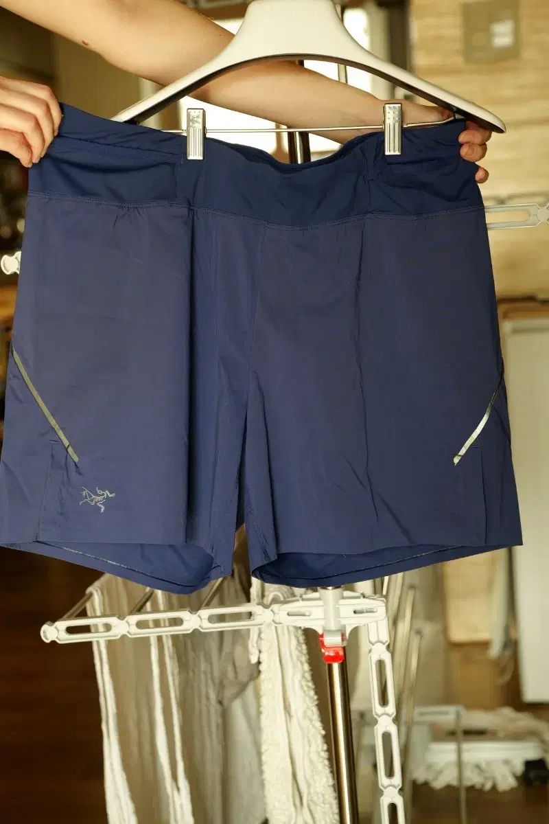 ARC TERYX アークテリクス メンズ ショーツ ハーフパンツ L