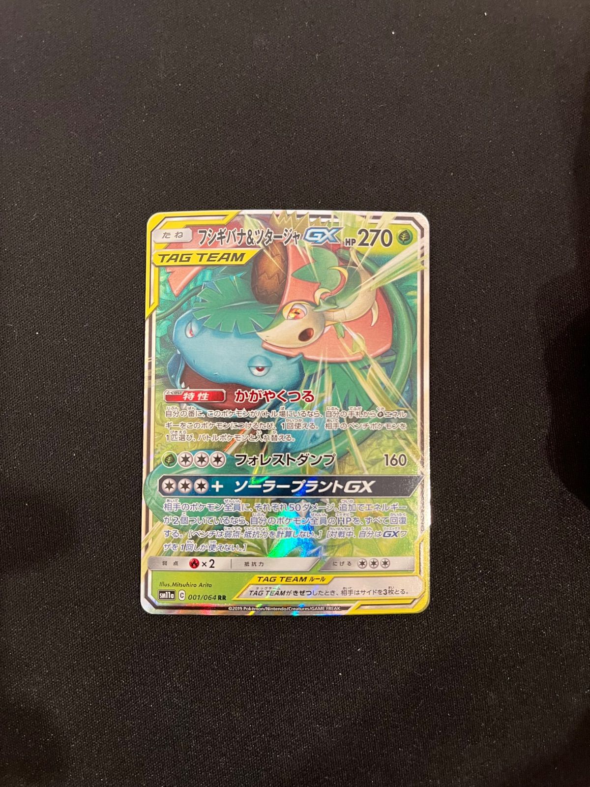 フシギバナ&ツタージャGX RR 001/064 sm11a #20553 - メルカリ