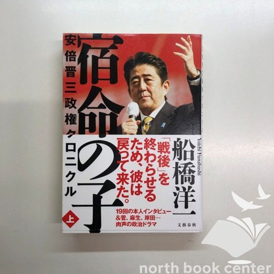 自由に選べる3個セット】華やかな柄入り ベトナム伝統のホイアン・ランタン〔提灯〕 の通販[送料無料] - TIRAKITA.COM 宿命の子 上下セット