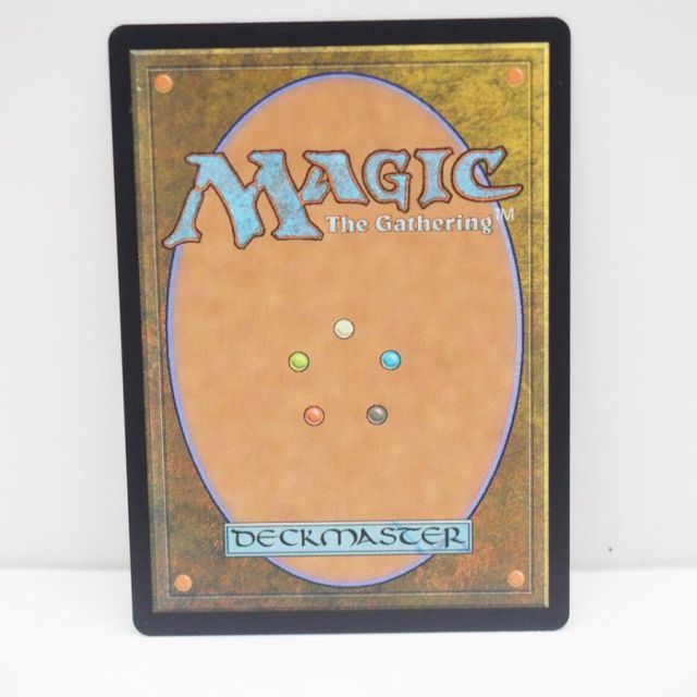 MAGIC The Gathering MTG 行き届いた書庫 R 0328 MKM・JP ボーダーレス