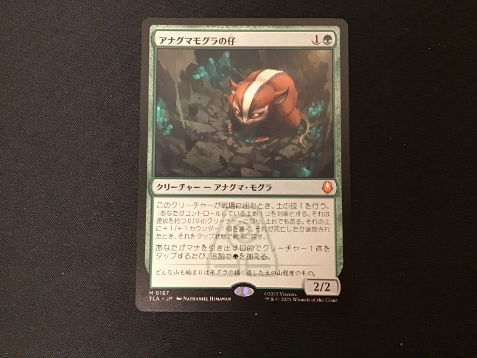 MTG】アナグマモグラの仔 1 【公式通販】
