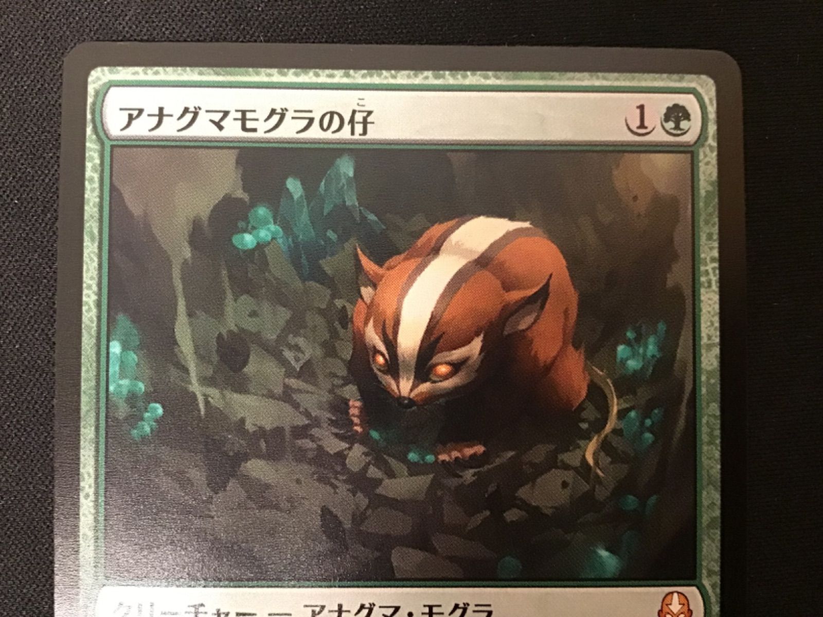 MTG《アナグマモグラの仔》 MTG TLA 《アナグマモグラの仔》ボーダー