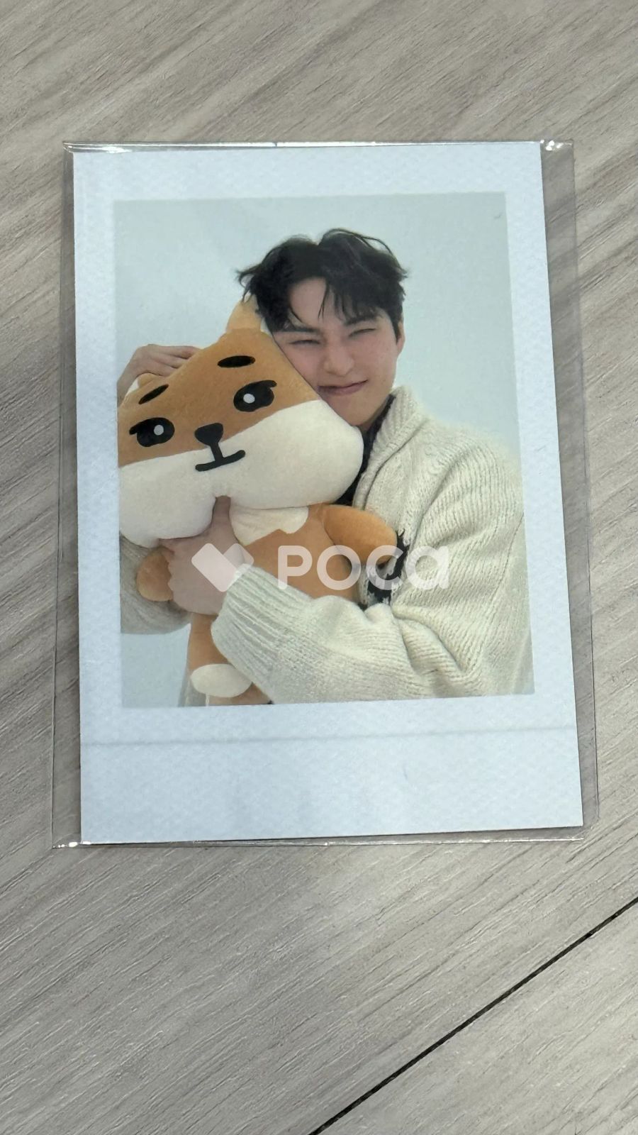 DAY6 ヨンケイ 2024 DAY6 SPECIAL CONCERT 'The Present' DENIMALZ