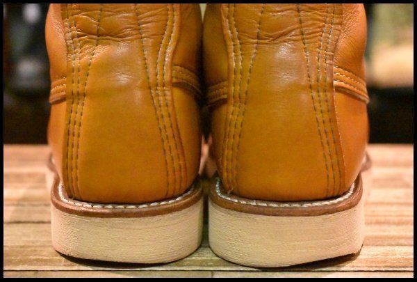 アイリッシュセッター