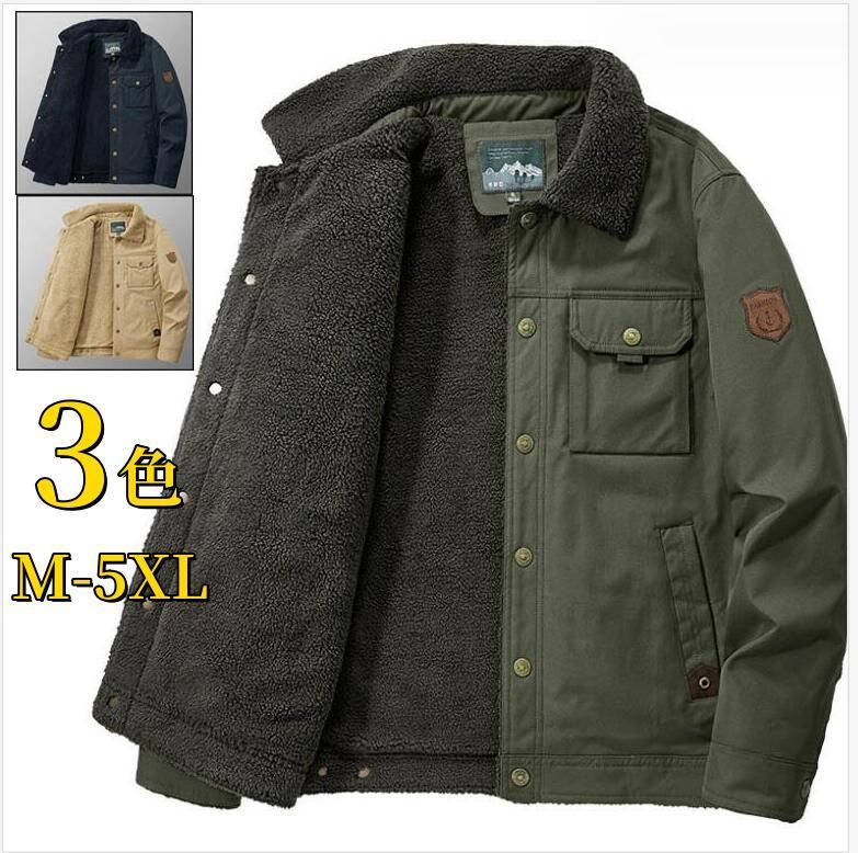 アウトレット 豪商旧蔵品 明治期 色絵鯉千鳥文膾皿 金蘭手 二十客 上手