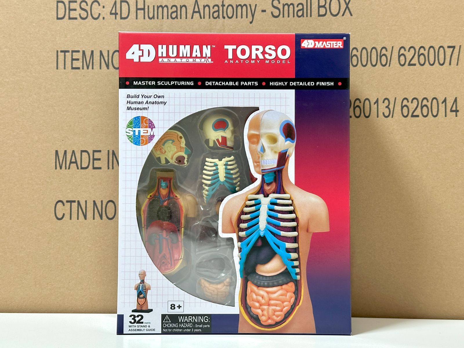 即日発送！4D MASTER 人体模型 インテリア 解剖学 知育 【公式通販】