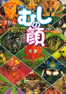 爆買い，正規品 むしの顔 (ずかん) その他