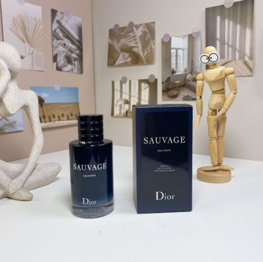 ディオール ソヴァージュ オーフォルト 100ML 香水 メンズ DIOR