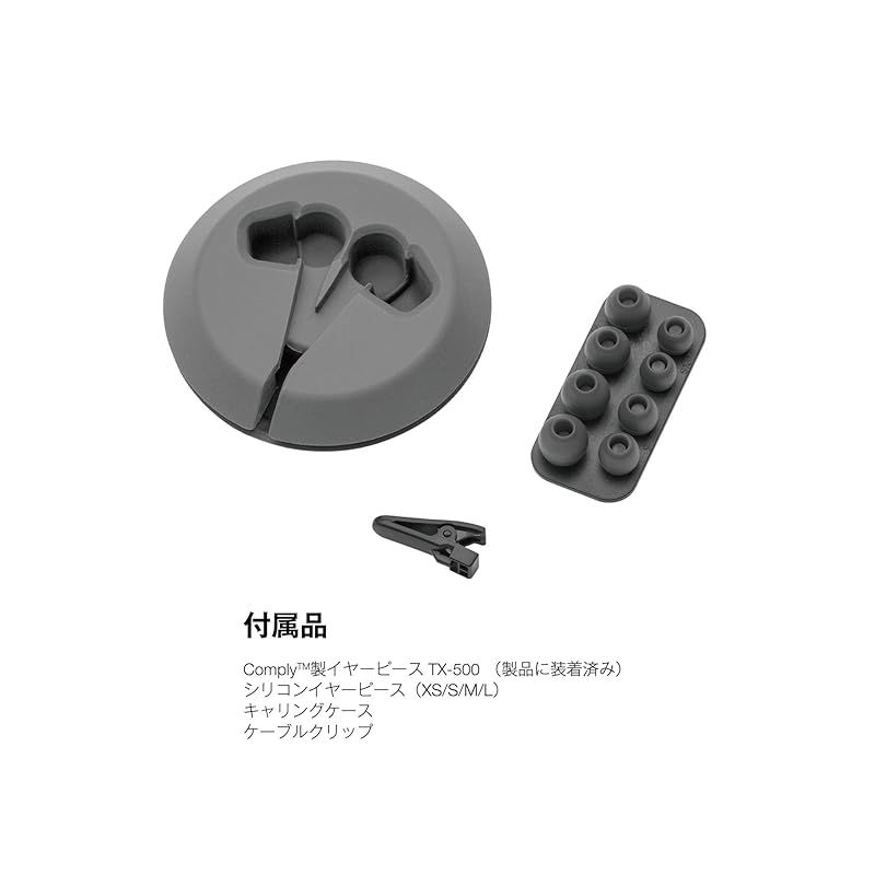 デノン AH-C820 カナル型イヤホン デュアルドライバー ハイレゾ対応