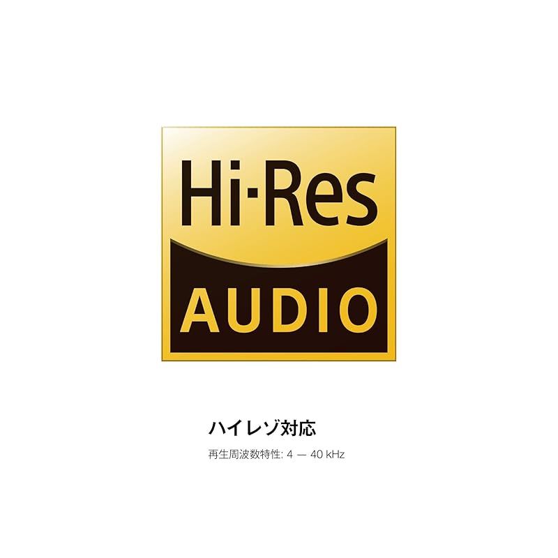 デノン AH-C820 カナル型イヤホン デュアルドライバー ハイレゾ対応