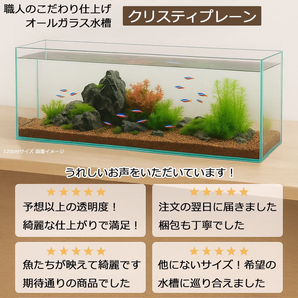 水槽 25cm ガラス水槽【25×25×25cm 14L】クリスティプレーン 2525 水槽