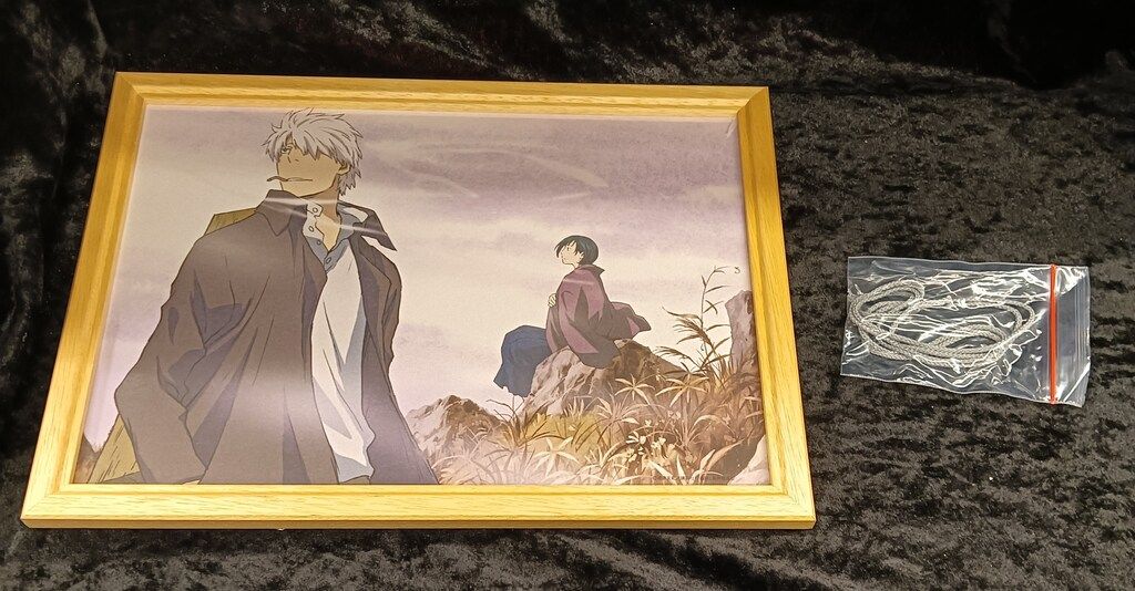 蟲師 錦絵風イラスト&専用額縁セット 初回限定特装版 DVD全巻購入 蟲師 DVD初回限定特装版専用額縁付錦絵風イラストセット - メルカリ